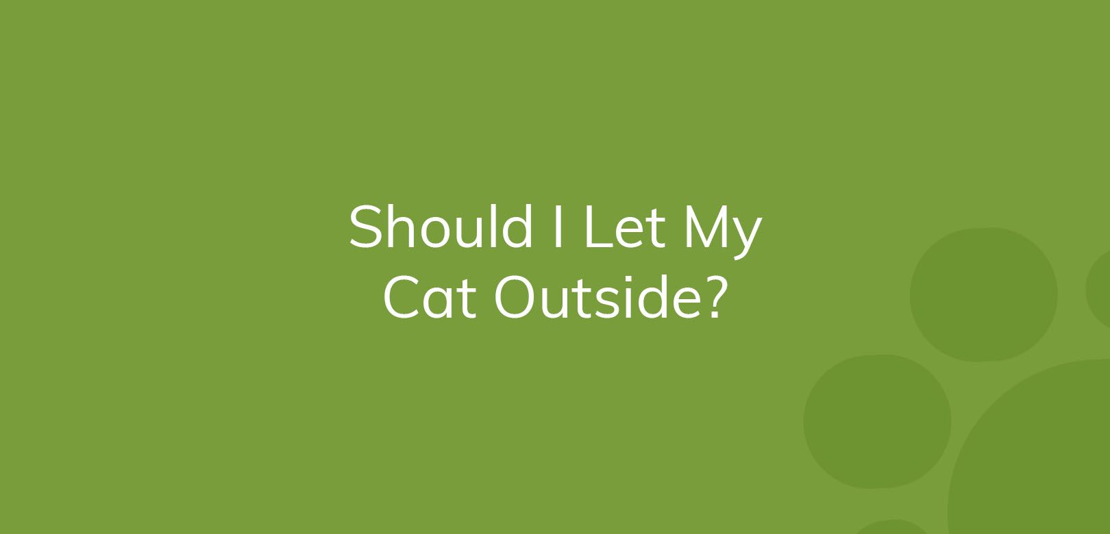 Text on a green background asking, "Should I Let My Cat Outside?"