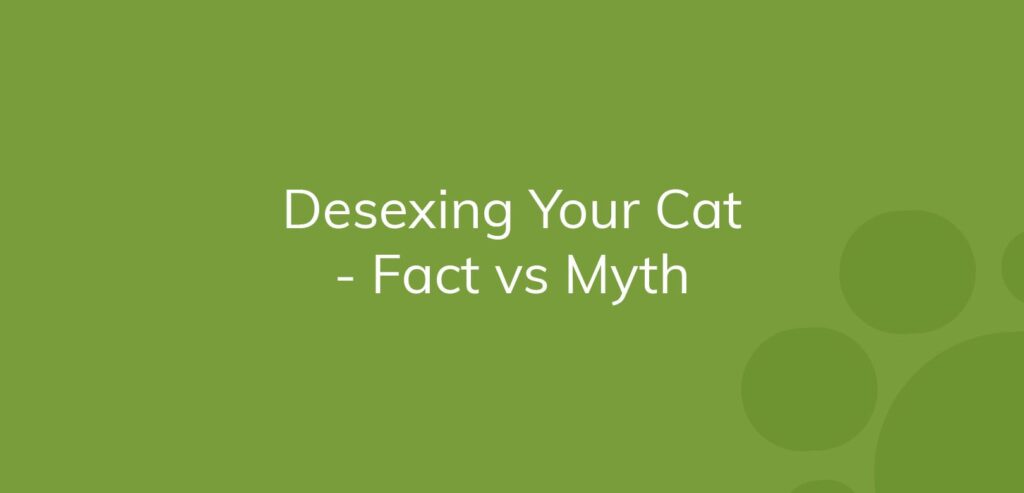 Text "Desexing Your Cat - Fact vs Myth" on a green background with decorative circles.