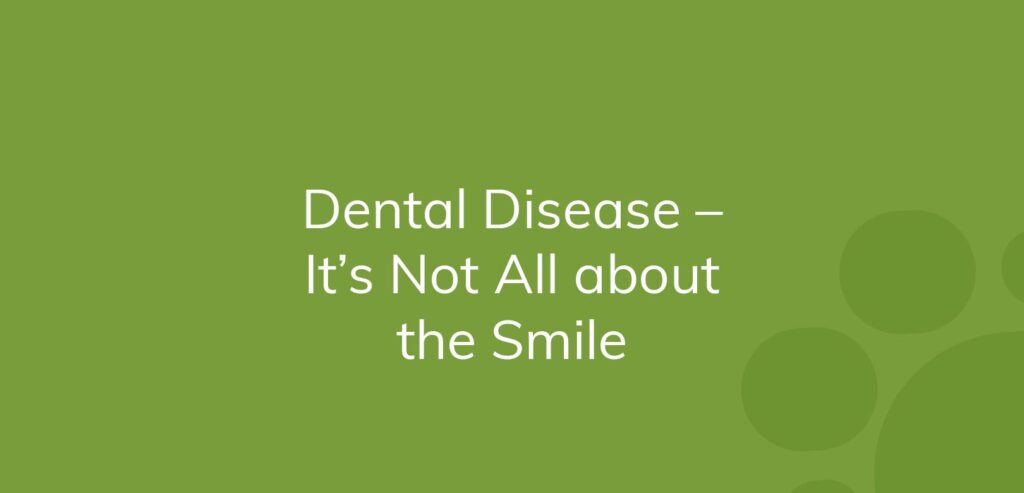 Text on green background: "Dental Disease – It’s Not All about the Smile"