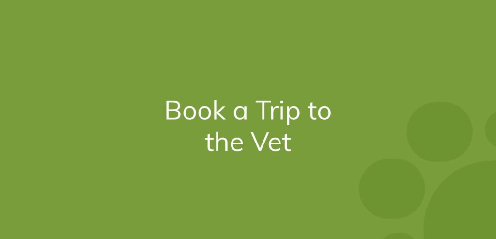 Text "Book a Trip to the Vet" in white on a green background with bubbles.