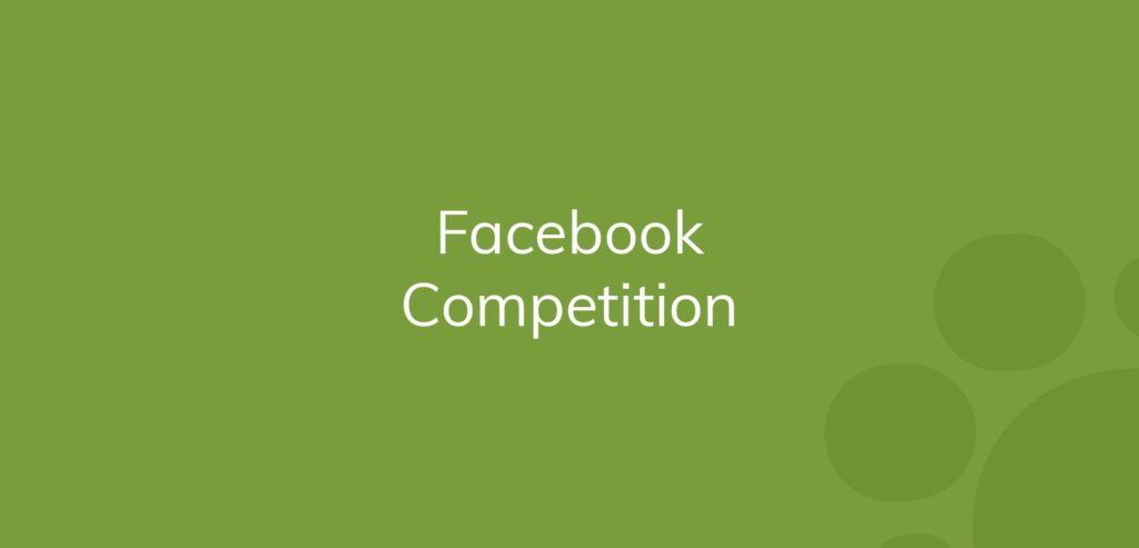 Text "Facebook Competition" on a green background with bubble designs.