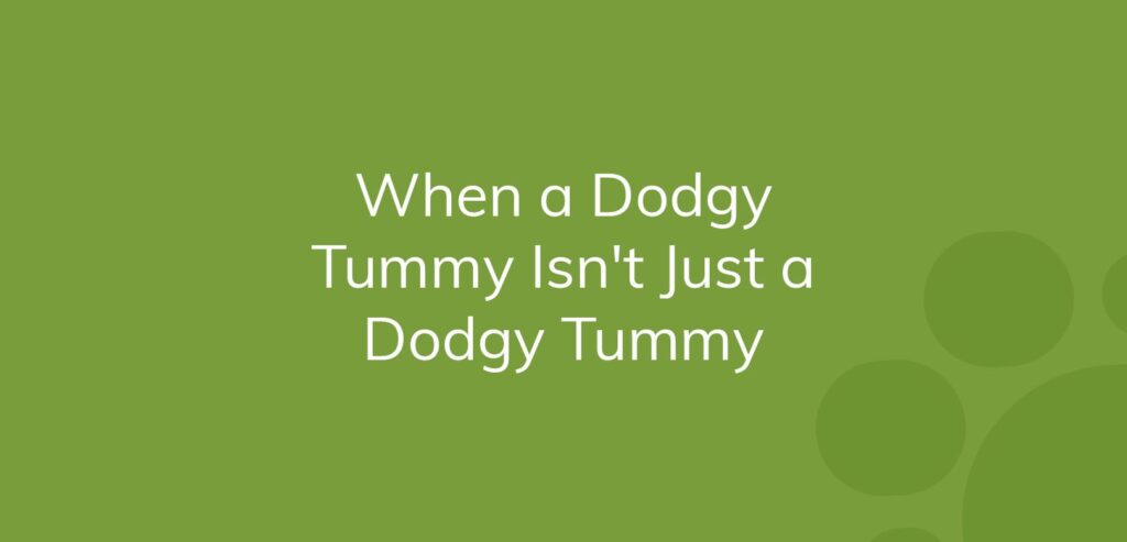 Text on green background reads "When a Dodgy Tummy Isn't Just a Dodgy Tummy."