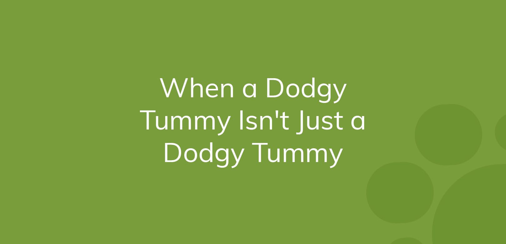 Text on green background reads "When a Dodgy Tummy Isn't Just a Dodgy Tummy."