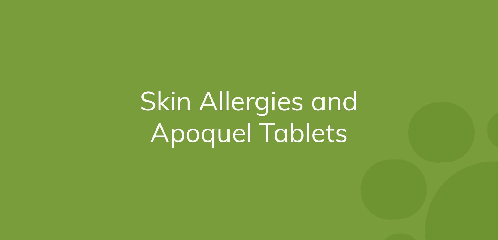 Text on green background: "Skin Allergies and Apoquel Tablets"
