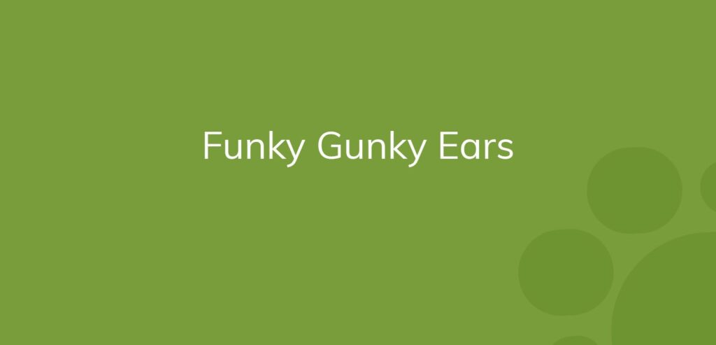 Text "Funky Gunky Ears" on a plain green background with decorative circles.