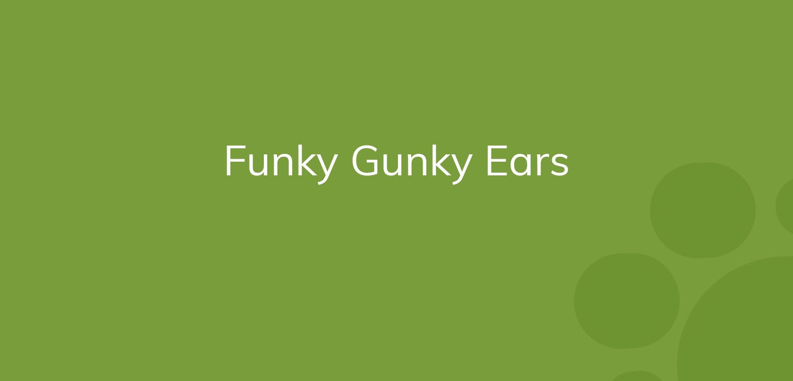 Text "Funky Gunky Ears" on a plain green background with decorative circles.