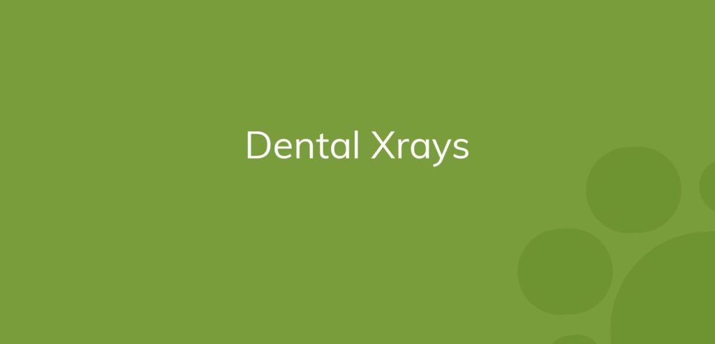 Text "Dental Xrays" on a green background with circle patterns.
