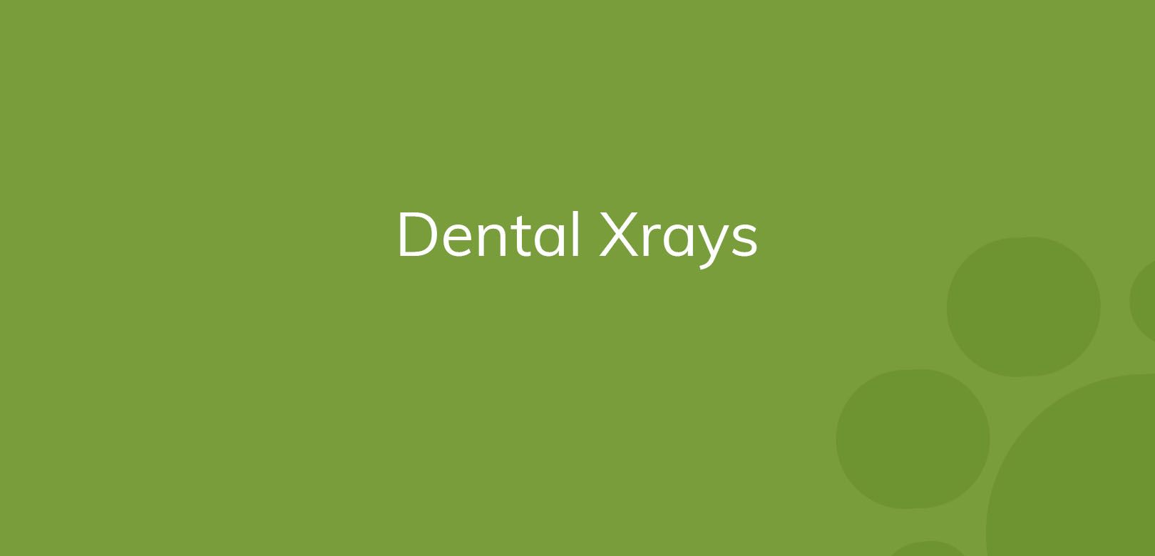 Text "Dental Xrays" on a green background with circle patterns.