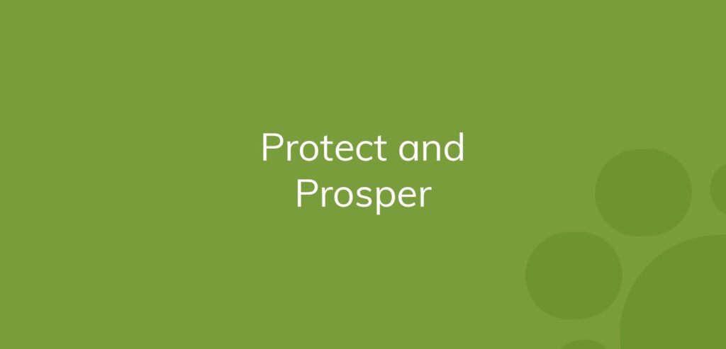 Text "Protect and Prosper" on a solid green background with lighter green circles.
