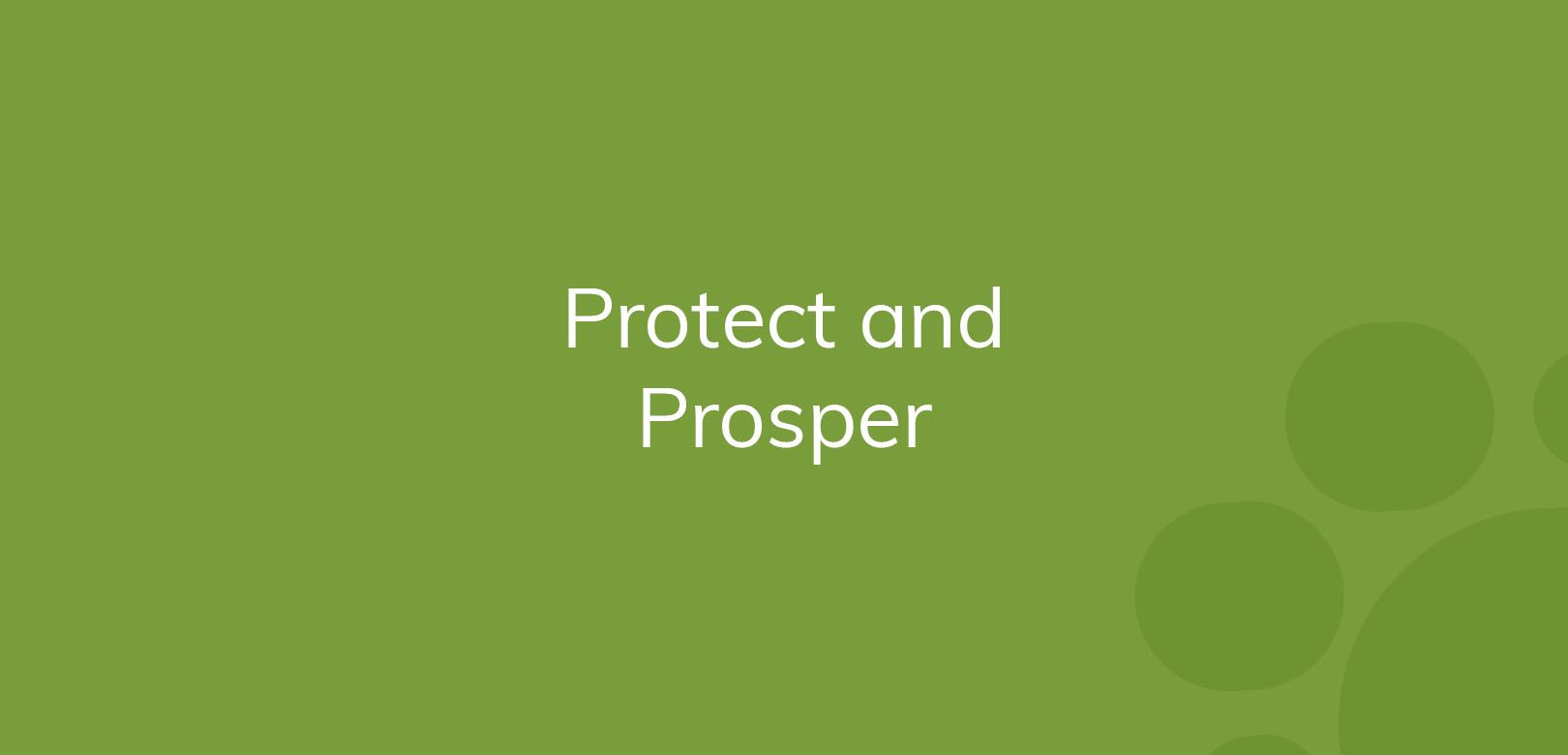 Text "Protect and Prosper" on a solid green background with lighter green circles.