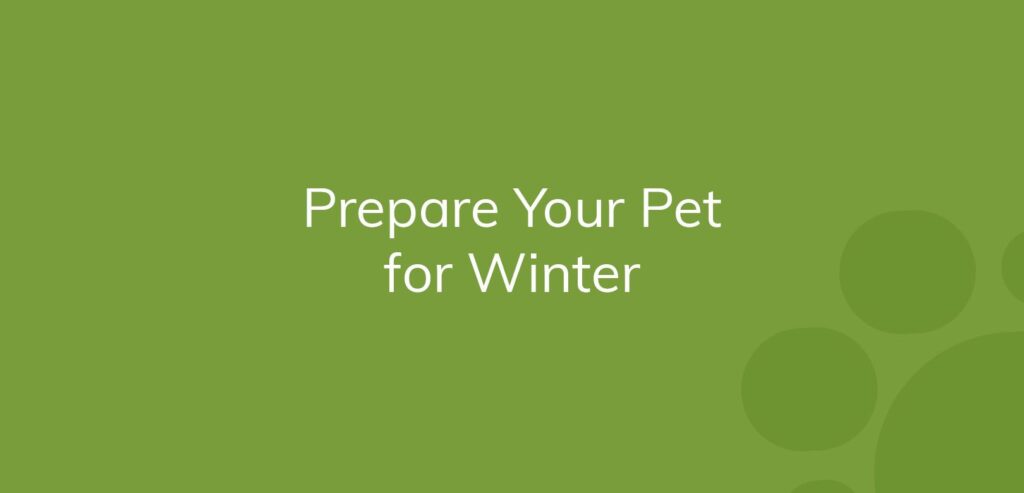 Text "Prepare Your Pet for Winter" on a green background with decorative circles.