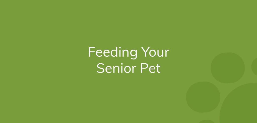 Text "Feeding Your Senior Pet" on a green background with circles.