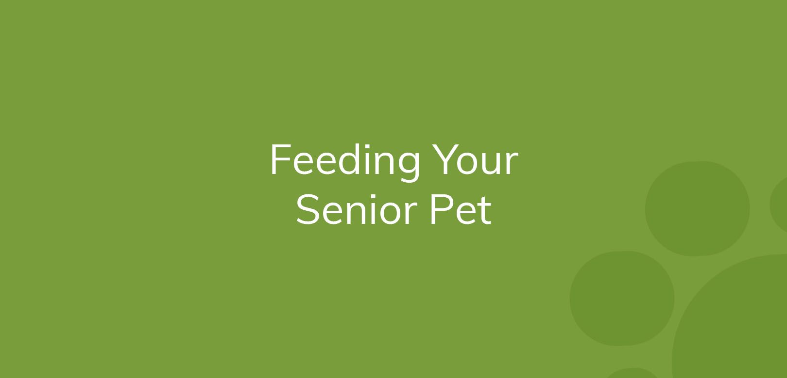 Text "Feeding Your Senior Pet" on a green background with circles.