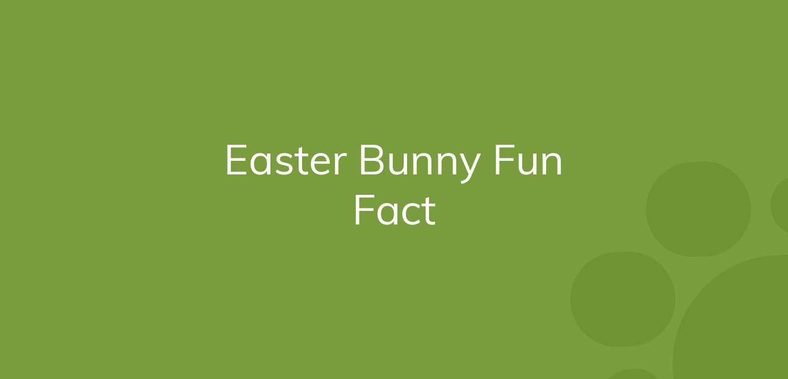 Green graphic with text 'Easter Bunny Fun Fact'.