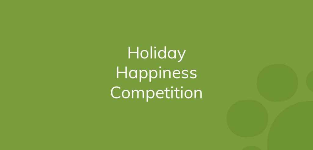 Text "Holiday Happiness Competition" on a lime green background with lighter circles.