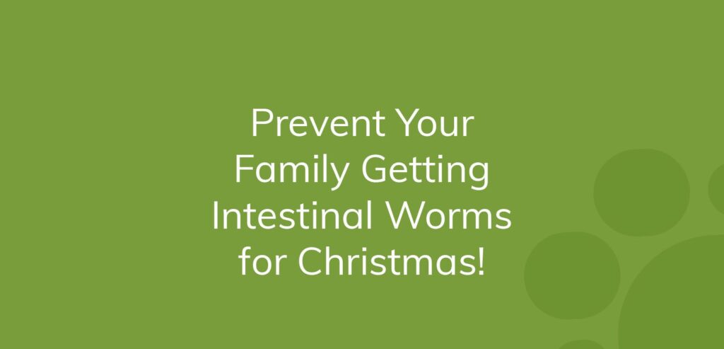 Text on green background: "Prevent Your Family Getting Intestinal Worms for Christmas!"