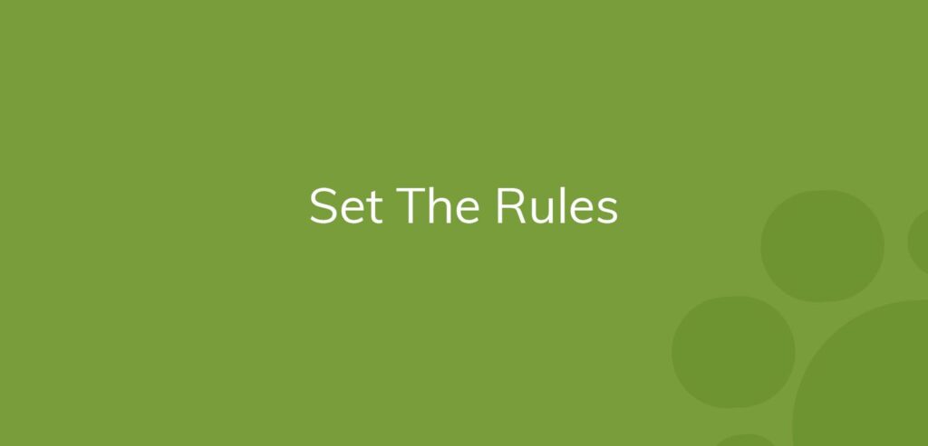 Text "Set The Rules" on a plain green background with lighter green circles.