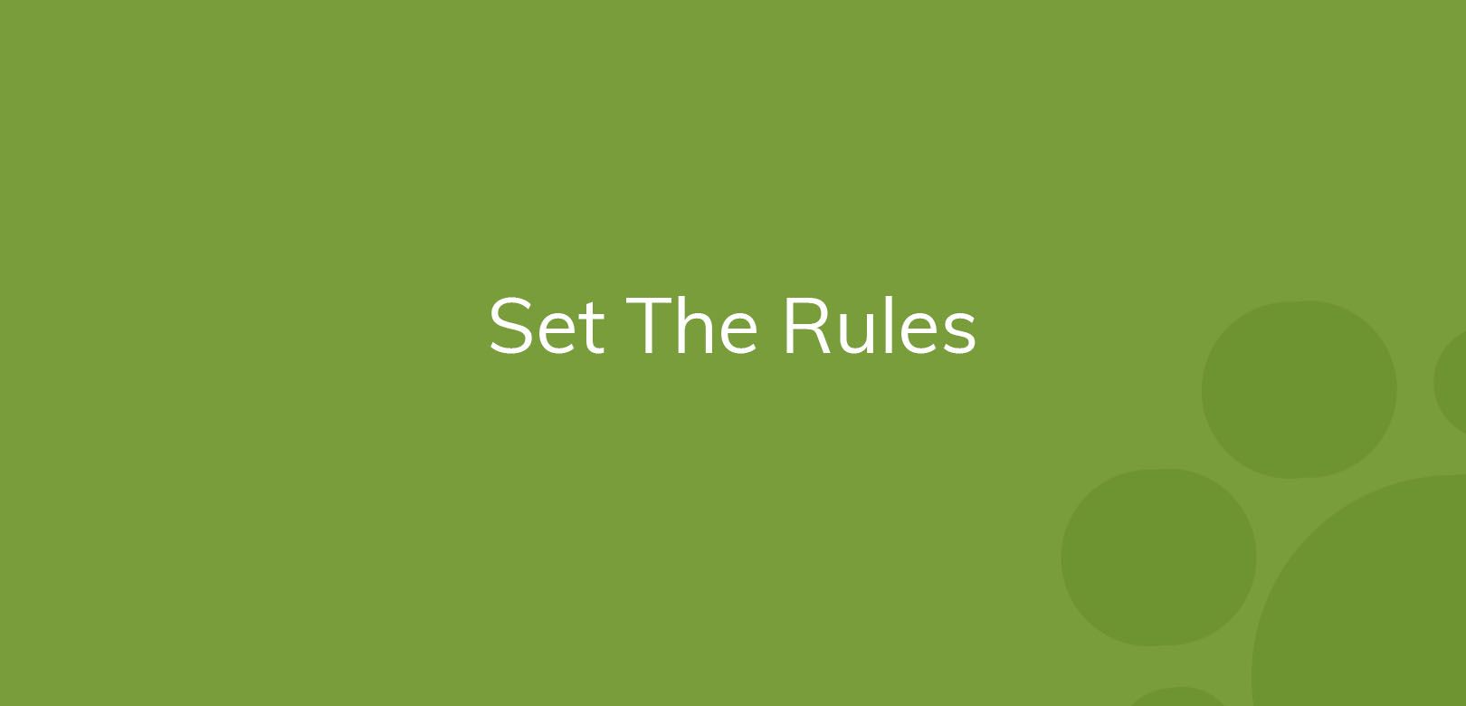 Text "Set The Rules" on a plain green background with lighter green circles.