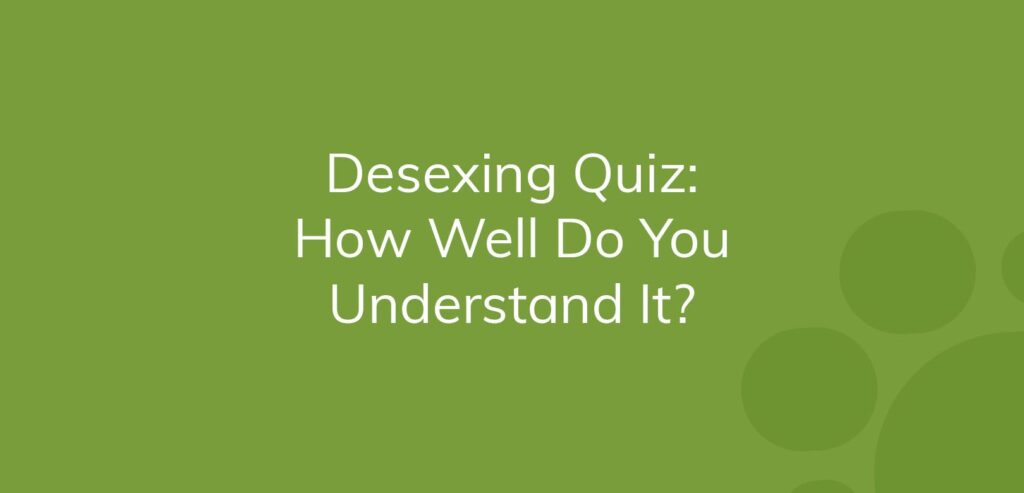 Text on green background reads "Desexing Quiz: How Well Do You Understand It?"