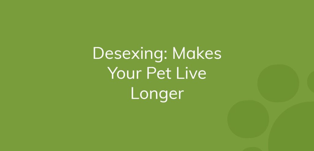 Text on green background says "Desexing: Makes Your Pet Live Longer"