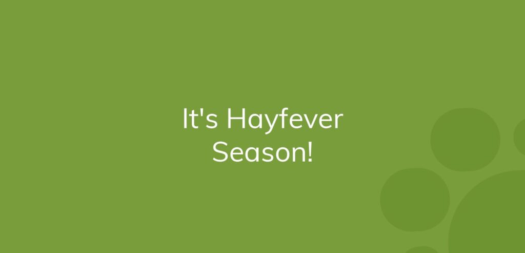 Text on a green background says "It's Hayfever Season!"