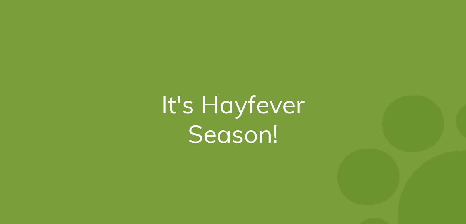 Text on a green background says "It's Hayfever Season!"