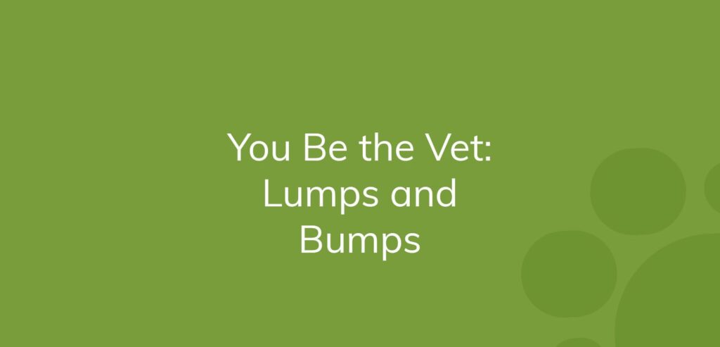 Text on green background: "You Be the Vet: Lumps and Bumps"