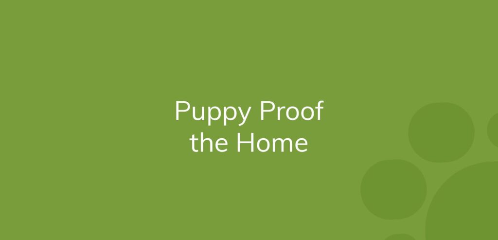 Text on a green background saying "Puppy Proof the Home"
