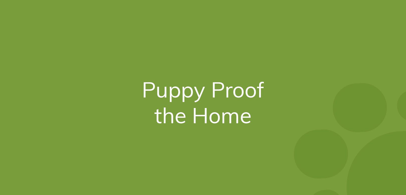 Text on a green background saying "Puppy Proof the Home"