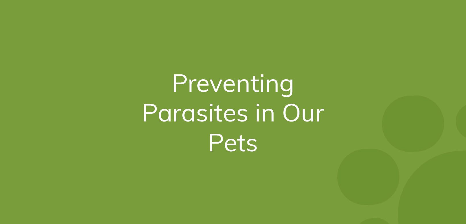 Text "Preventing Parasites in Our Pets" on a green background.