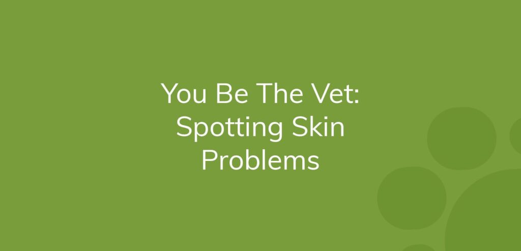 Text on green background reads "You Be The Vet: Spotting Skin Problems."