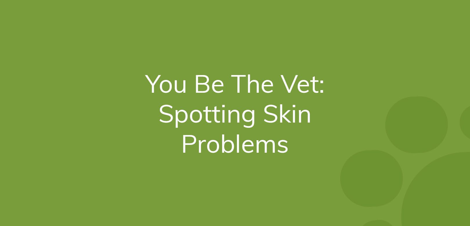 Text on green background reads "You Be The Vet: Spotting Skin Problems."