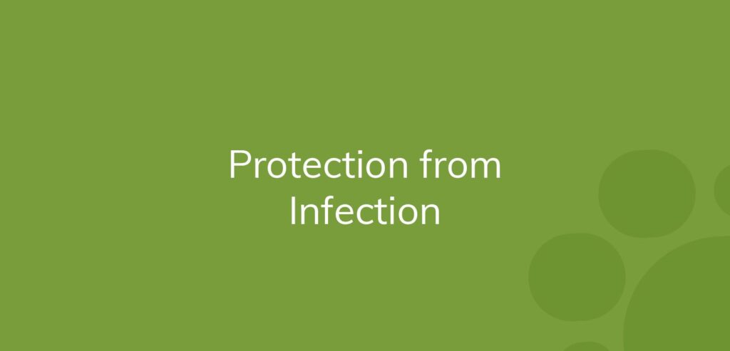 Text "Protection from Infection" on a green background with circle patterns.