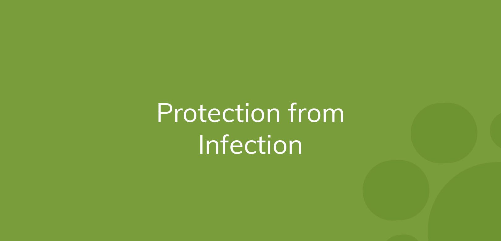 Text "Protection from Infection" on a green background with circle patterns.