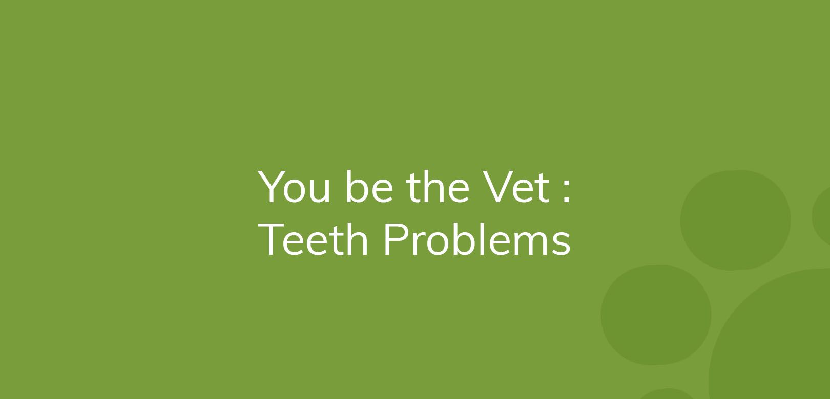 Green background with text "You be the Vet: Teeth Problems".