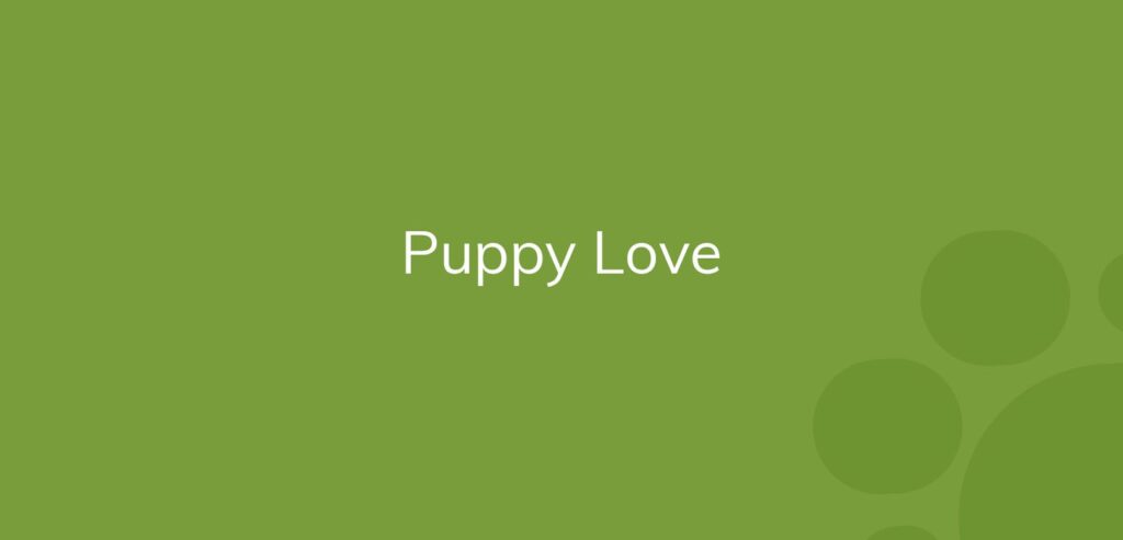 Text "Puppy Love" in white on a solid green background with decorative circles.