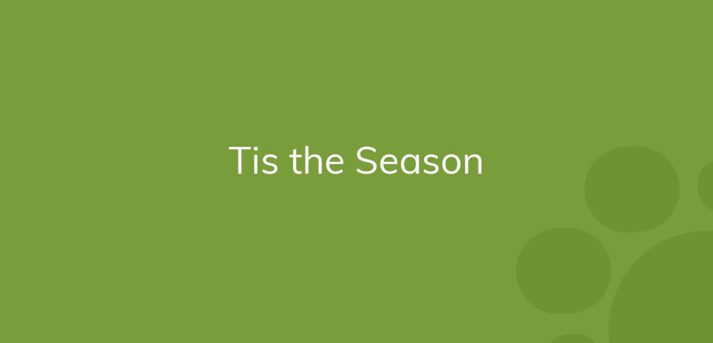 Text "Tis the Season" in white on a solid green background with bubbles.