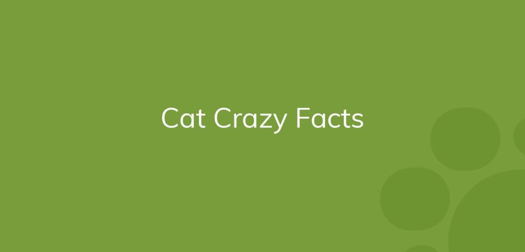Text "Cat Crazy Facts" on a plain green background with lighter green circles.