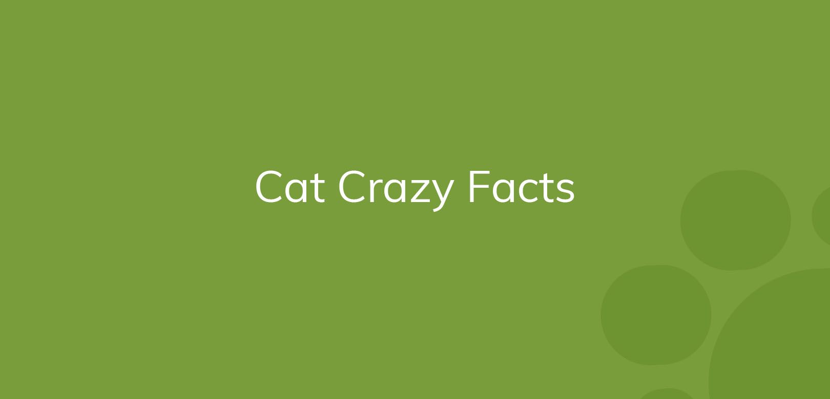 Text "Cat Crazy Facts" on a plain green background with lighter green circles.