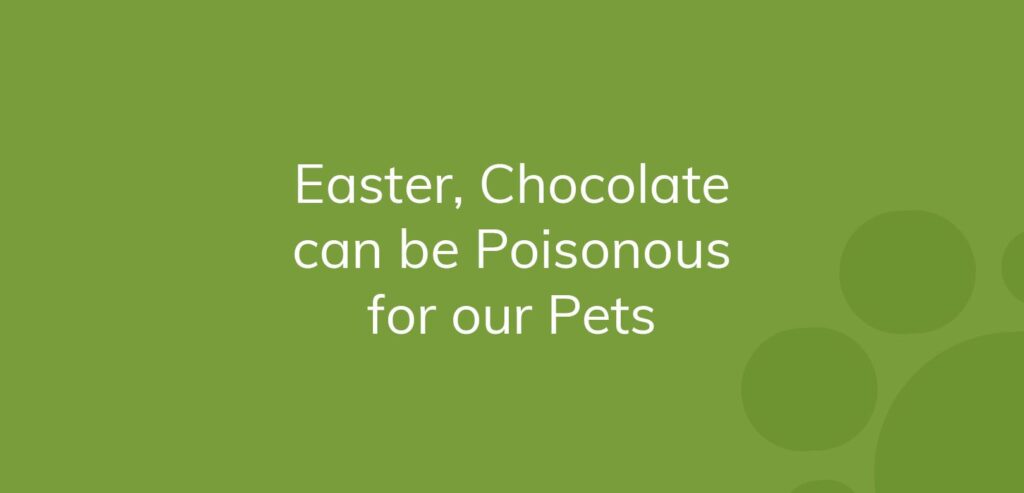Text on green background warning that chocolate is poisonous for pets during Easter.