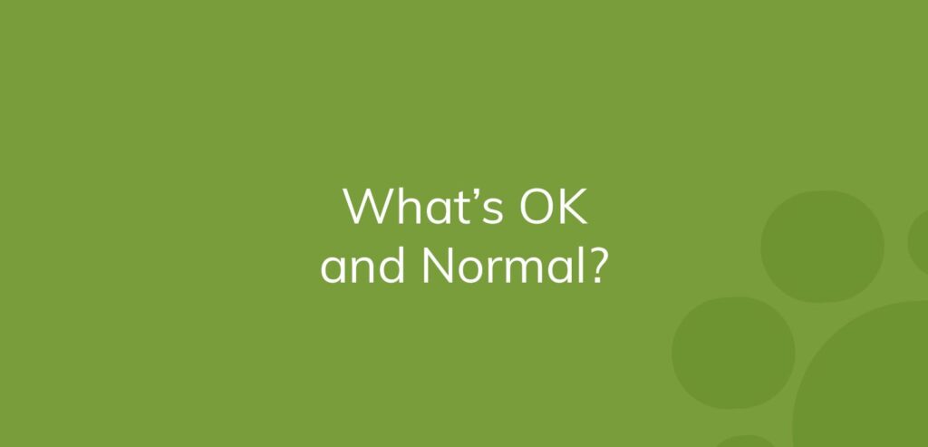 Text "What's OK and Normal?" on a green background with abstract circles.