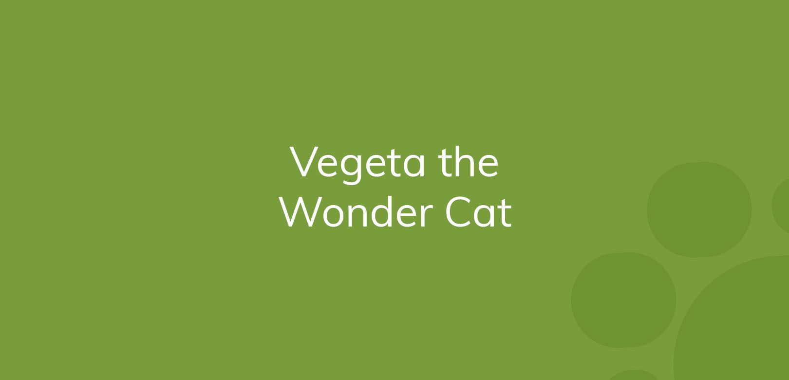 Text "Vegeta the Wonder Cat" on a plain green background.