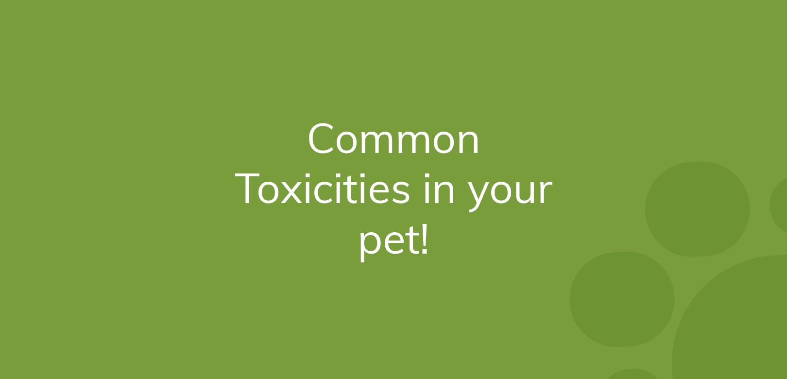 Text "Common Toxicities in your pet!" on a green background.