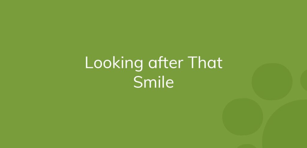 Text "Looking after That Smile" on a green background with lighter green circles.