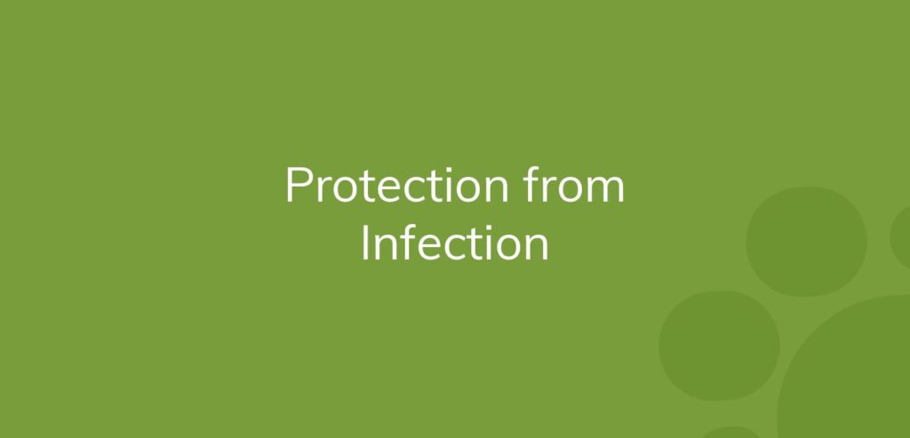 Text "Protection from Infection" on a green background with darker circles.