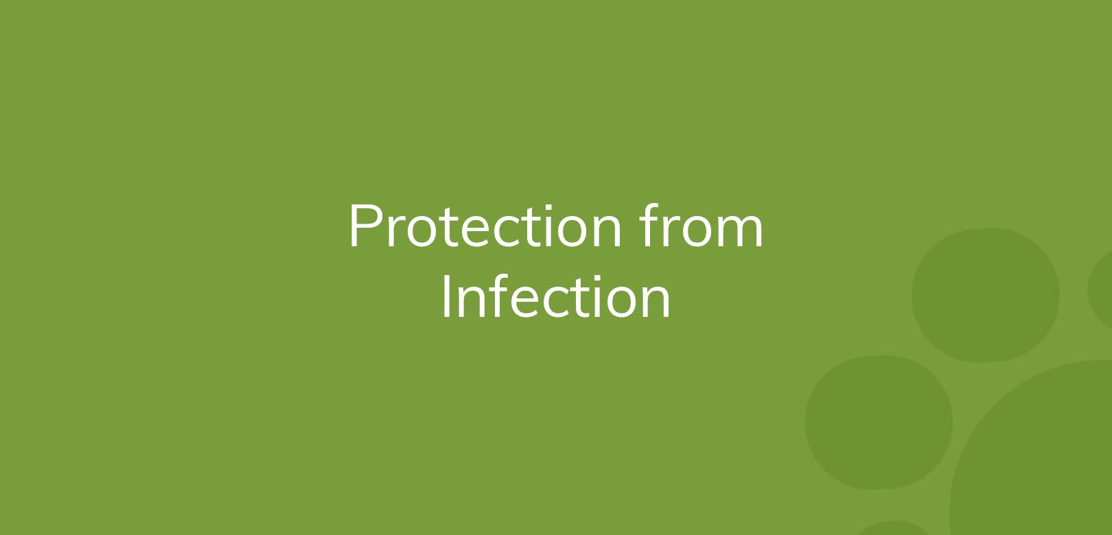 Text "Protection from Infection" on a green background with darker circles.