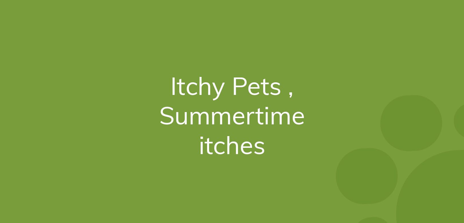 Text on green background reads "Itchy Pets, Summertime itches".