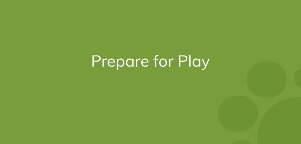 Text "Prepare for Play" on a solid green background with subtle circle patterns.