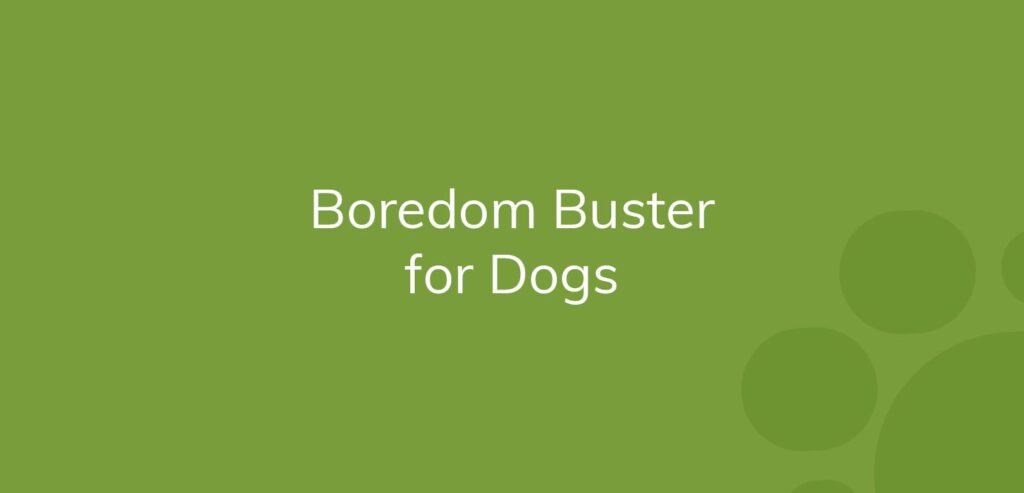Text on green background: "Boredom Buster for Dogs"
