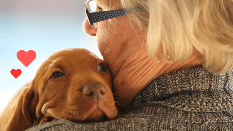 New dog bonding with an owner as part of Hampton Park Veterinary Hospital's new pet guide